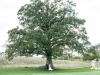 image004