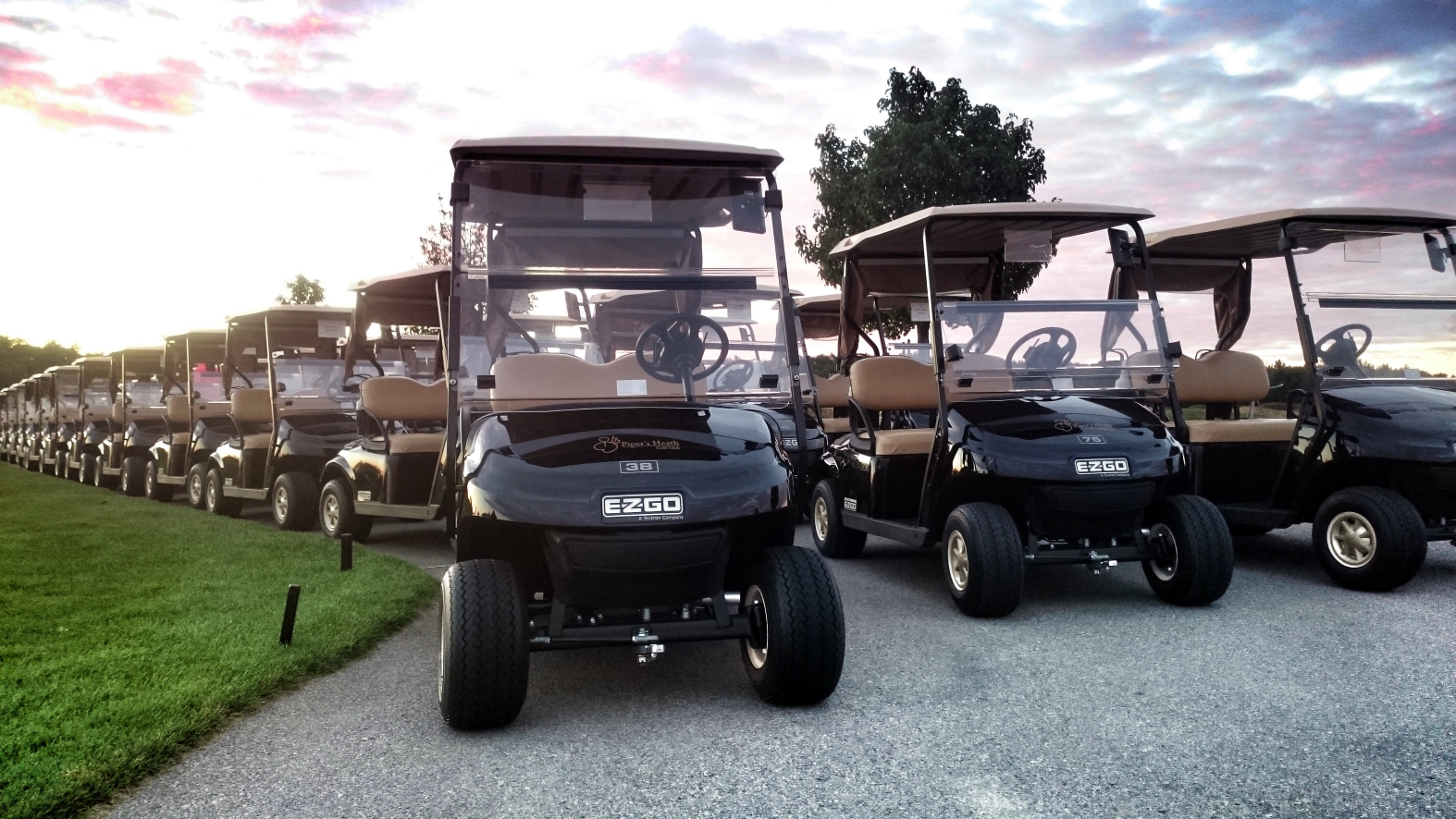 Golf carts staged at Driving Range for a tournament